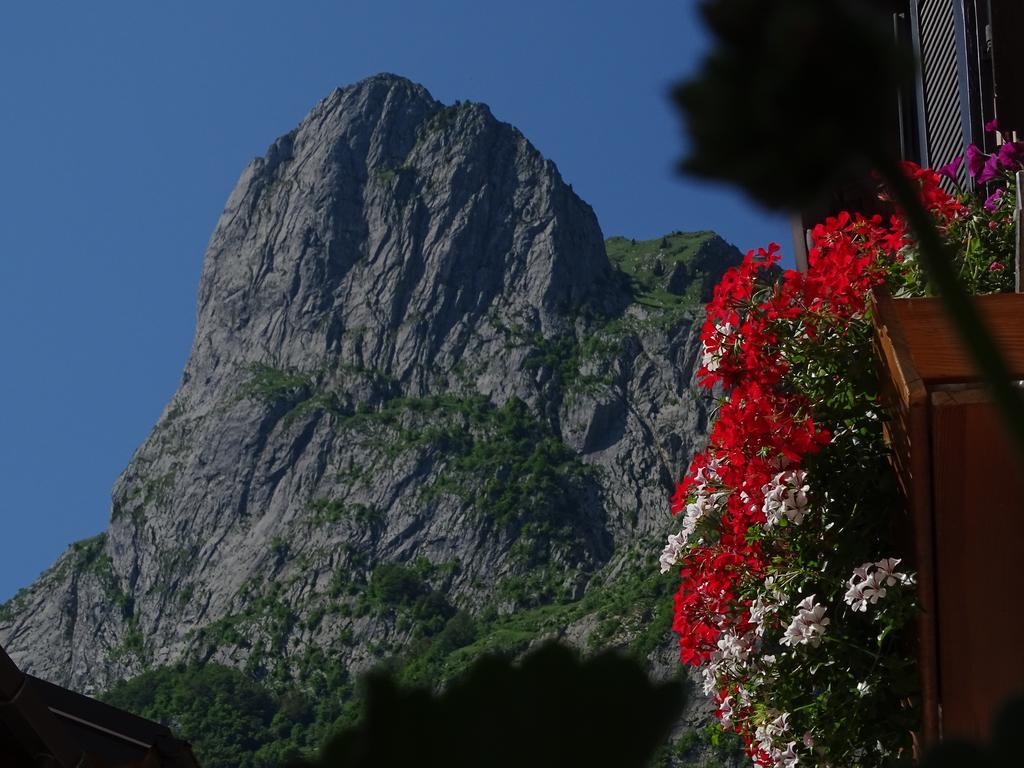 Albergo Matiz Da Otto ปาลุซซา ภายนอก รูปภาพ